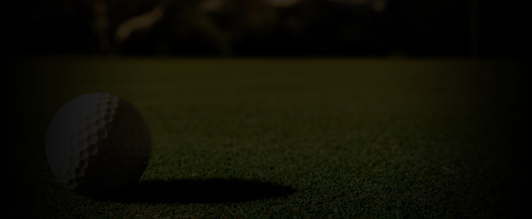 ゴルフ - ラリー ネルソン - スポーツナビ