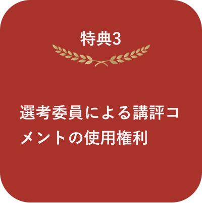 特典3 選考委員による講評コメントの【使用権利】