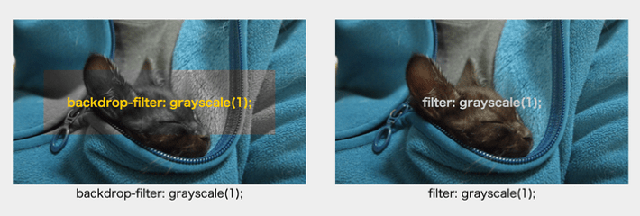 backdrop-filterとfilterでグレースケールをかけた挙動の差を表したシンプルな例のキャプチャ