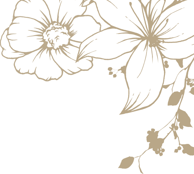 ツアースケジュール背景画像右上