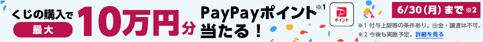 くじの購入で最大10万円分PayPayポイント※1当たる！　6/30（金）まで※2　※1付与上限等の条件あり。出金・譲渡は不可。　※2今後も実施予定。詳細を見る