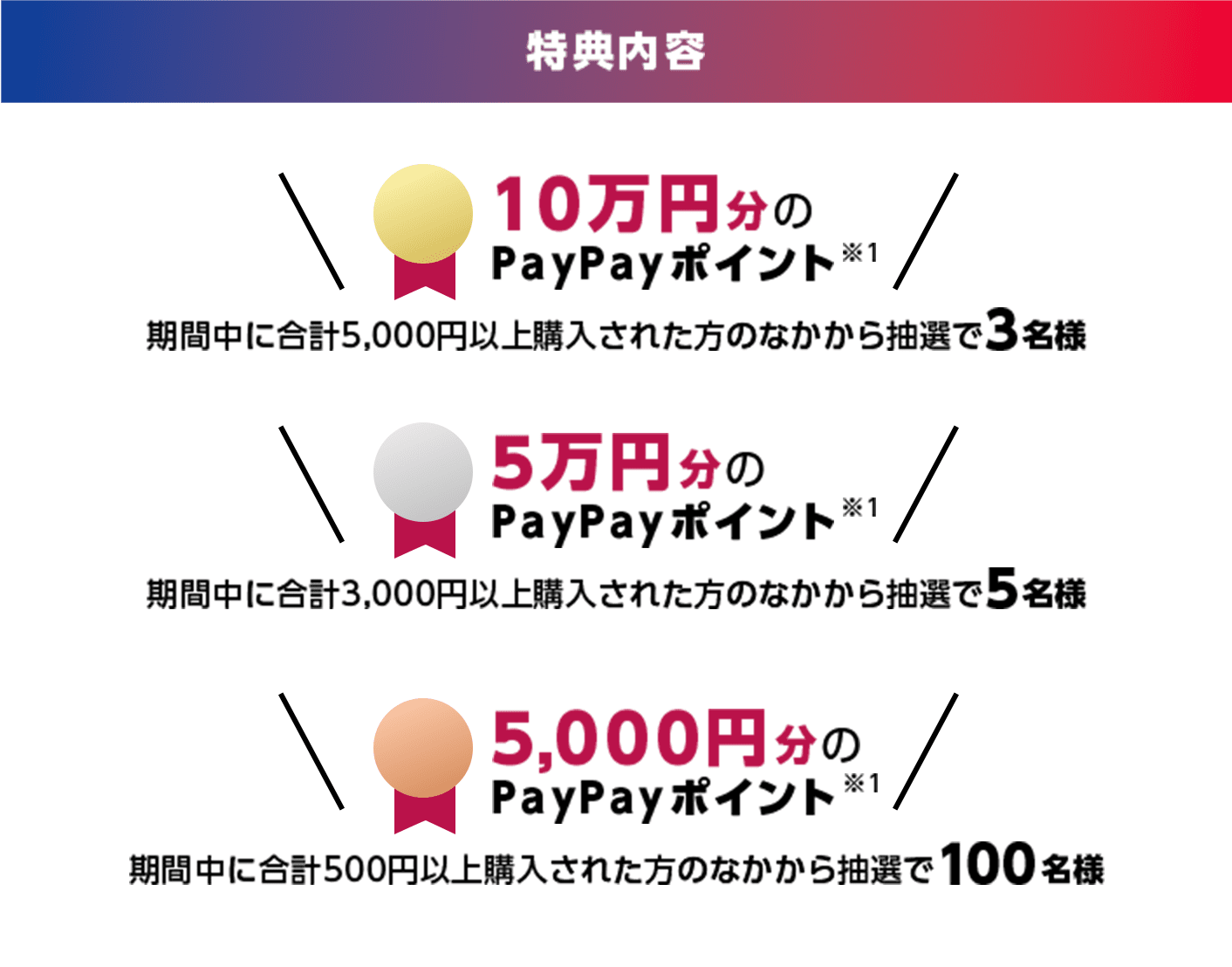 10万円分のPayPayポイント※1　 期間中に合計5,000円以上購入された方のなかから抽選で3名様　5万円分のPayPayポイント※1　 期間中に合計3,000円以上購入された方のなかから抽選で5名様　5,000円分のPayPayポイント※1　 期間中に合計500円以上購入された方のなかから抽選で100名様