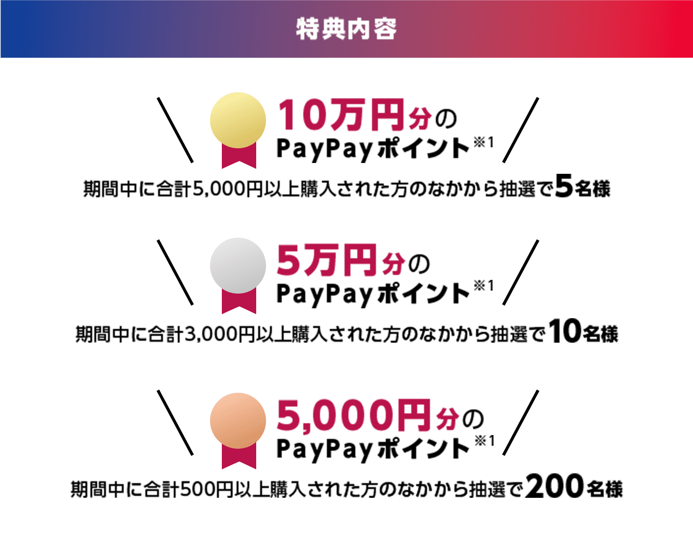 10万円分のPayPayポイント※1　 期間中に合計5,000円以上購入された方のなかから抽選で5名様　5万円分のPayPayポイント※1　 期間中に合計3,000円以上購入された方のなかから抽選で10名様　5,000円分のPayPayポイント※1　 期間中に合計500円以上購入された方のなかから抽選で200名様