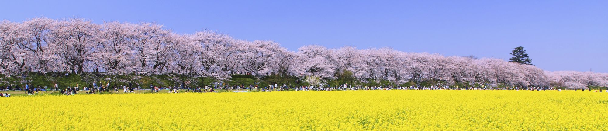 GW・夏休みの予約にも使える! 春のお得なクーポン