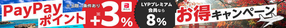 PayPayポイントキャンペーン