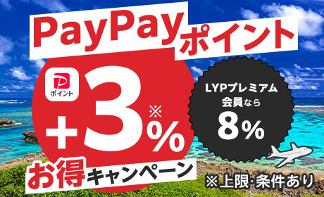 PayPayポイントキャンペーン