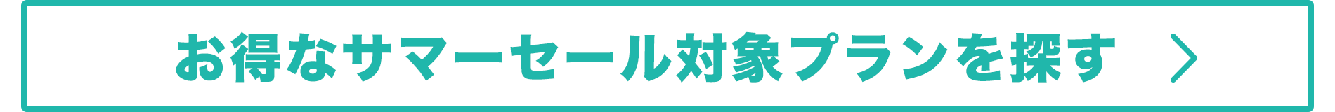 お得なサマーセールプランを全て見る