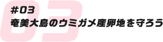 #03 奄美大島のウミガメ産卵地を守ろう