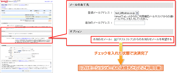 メールプロモーションチェック(オプション)