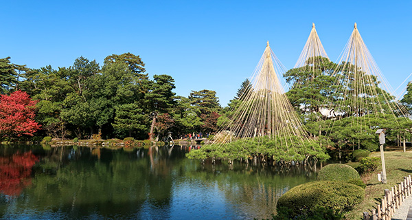 兼六園の雪吊り