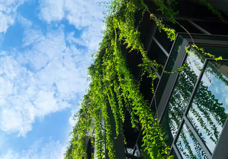 パリでまもなくオープンする世界最大の屋上農園（外部サイト）