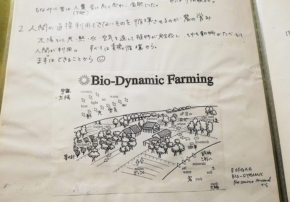 雅子さんのバイオダイナミック農法についての学習ノートより