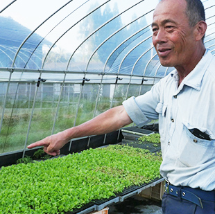 画像:ビニールハウスの中で野菜を指差して微笑む郡文則さん