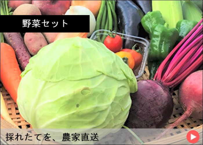 野菜セット