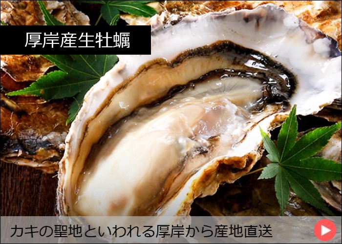 厚岸産生牡蠣  