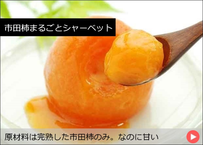 市田柿まるごとシャーベット