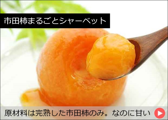 市田柿まるごとシャーベット