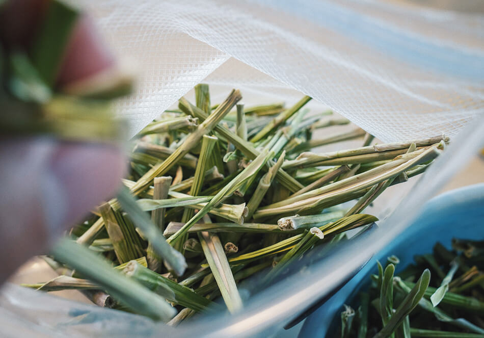 翠茎茶