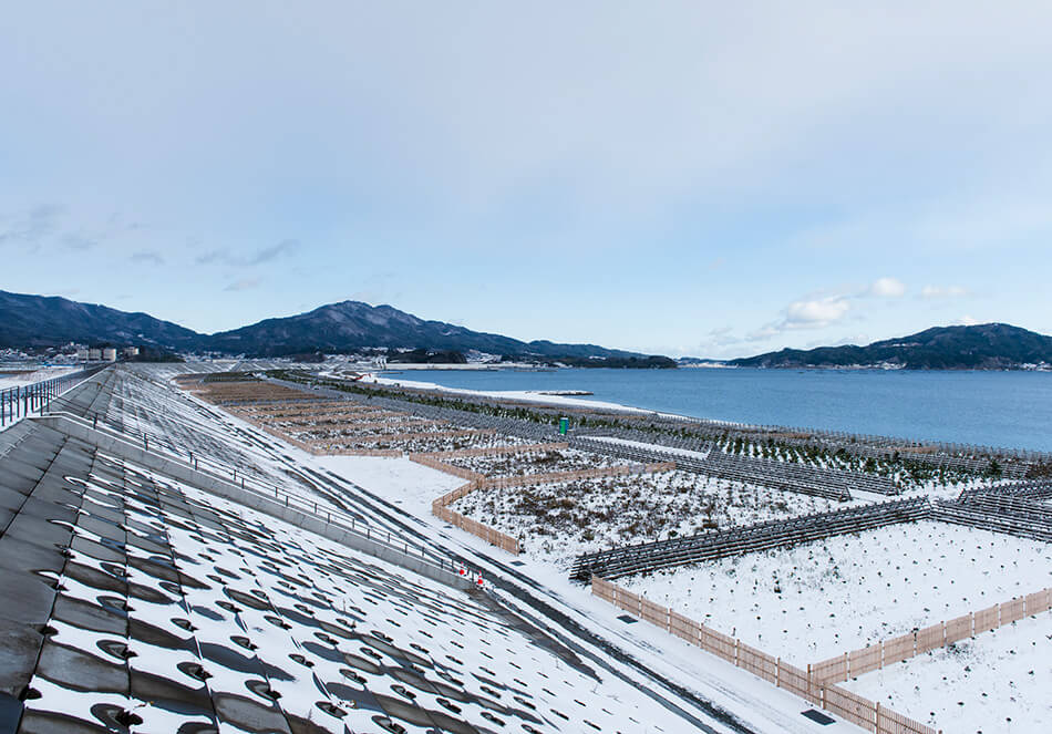 海岸の様子