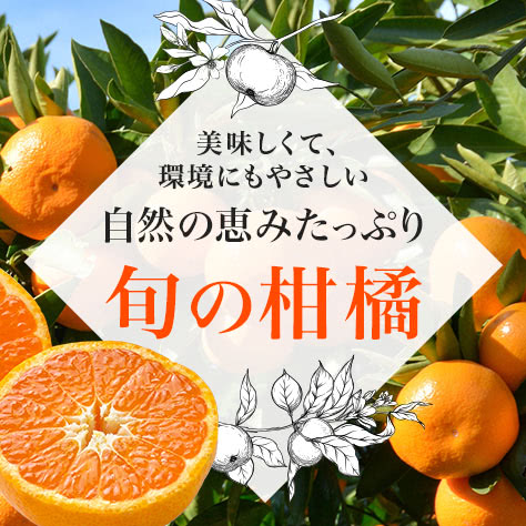 自然の恵みたっぷり　旬の柑橘