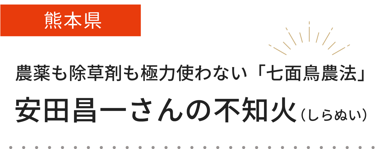 安田昌一さんの不知火（しらぬい）