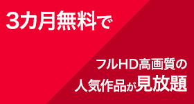 同時入会で3カ月無料、フルHD画質の人気作品が見放題