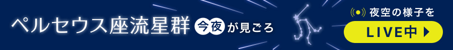 今夜ペルセウス座流星群が見頃　特別番組をLIVE配信中
