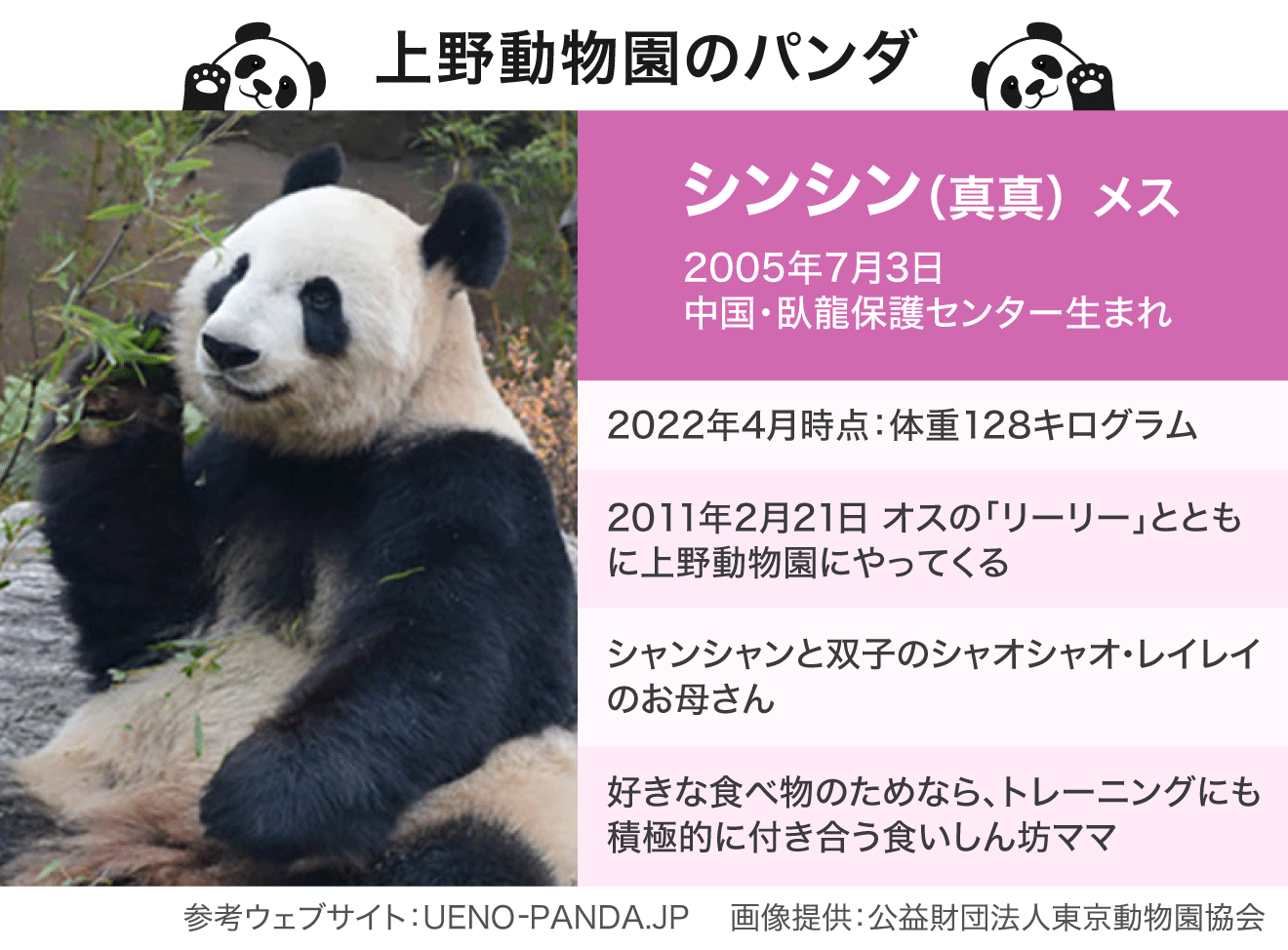 上野に来て50年～パンダ特集 - Yahoo!ニュース