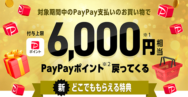 対象期間中のPayPay支払いのお買い物で付与上限6,000円相当※1 PayPayポイント※2 戻ってくる 新どこでももらえる特典