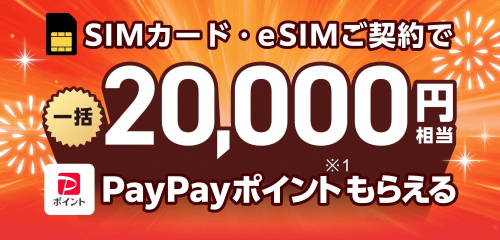 SIMカード・eSIMご契約で一括20,000円相当PayPayポイント※1もらえる