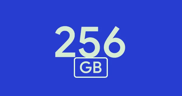 256GB