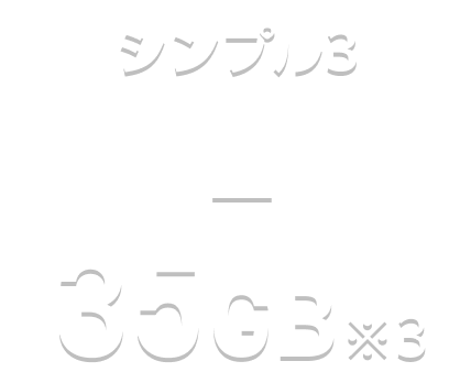 シンプル3 L 35GB※3