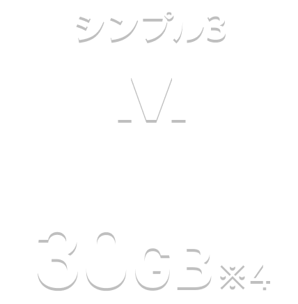 シンプル3 M 30GB※4