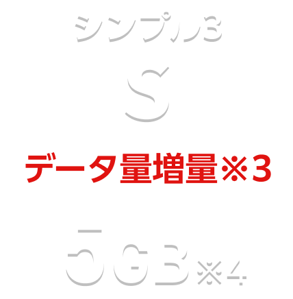 シンプル3 S データ量増量※3 5GB※4