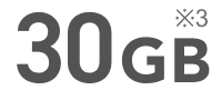 30GB ※3
