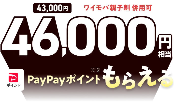 ワイモバイル SIMがおトク！ PayPayポイントもらえる特典・キャンペーン実施中