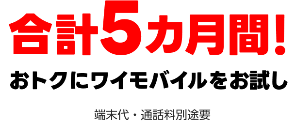 合計5カ月間! おトクにワイモバイルをお試し 端末代・通話料別途要