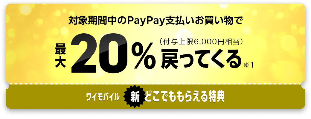 対象期間中のPayPay支払いお買い物で最大20%（付与上限6,000円相当）戻ってくる※1