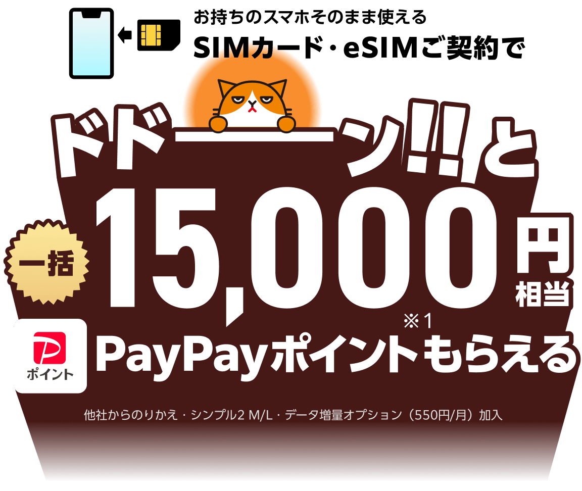 ワイモバイル SIMがおトク！ PayPayポイントもらえる特典・キャンペーン実施中