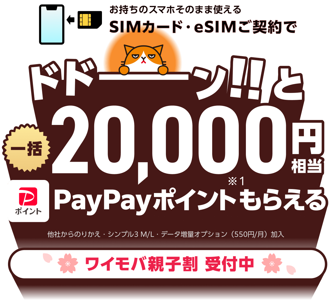 ワイモバイル SIMがおトク！ PayPayポイントもらえる特典・キャンペーン実施中