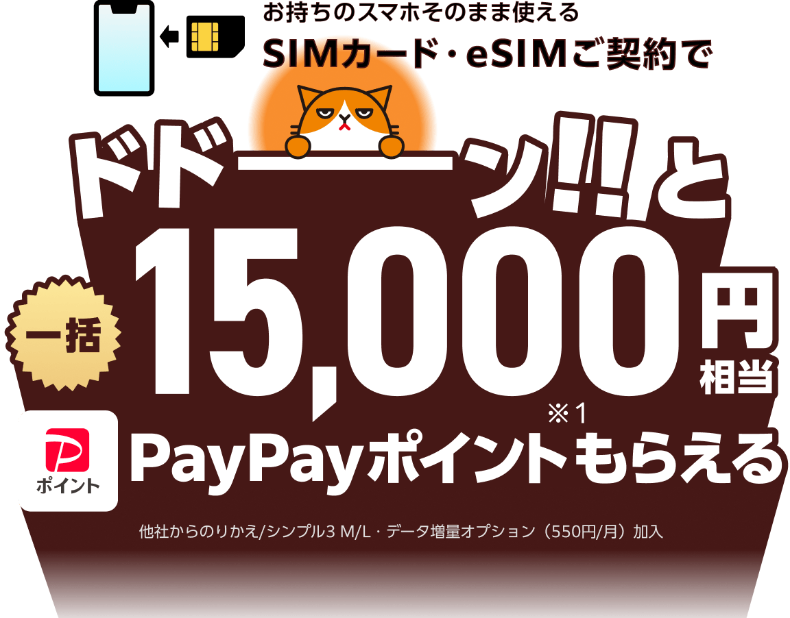 ワイモバイル SIMがおトク！ PayPayポイントもらえる特典・キャンペーン実施中