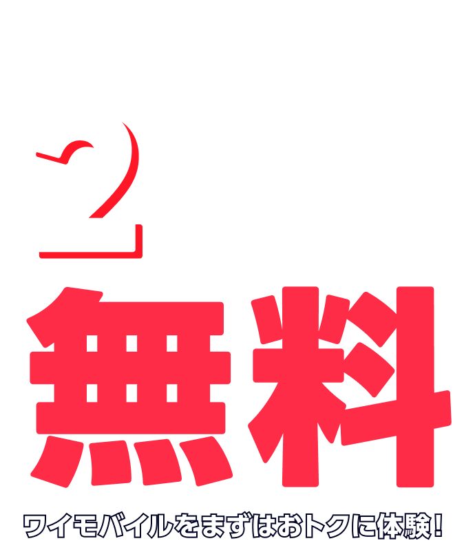 【このページからのお申し込み】SIM シンプル3 M(30GB)基本使用料が2カ月目まで無料! 3〜5カ月目も割引あり。